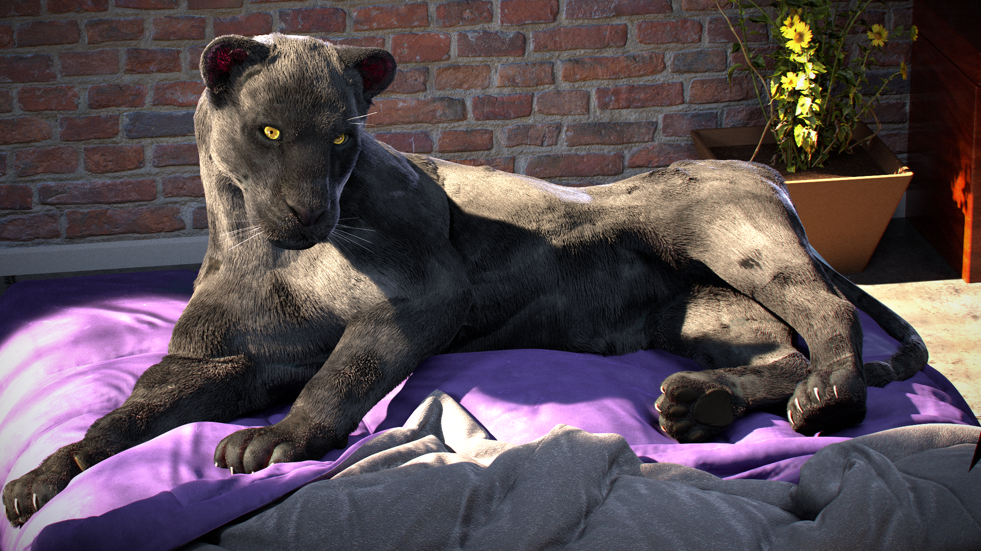 Panther lounging